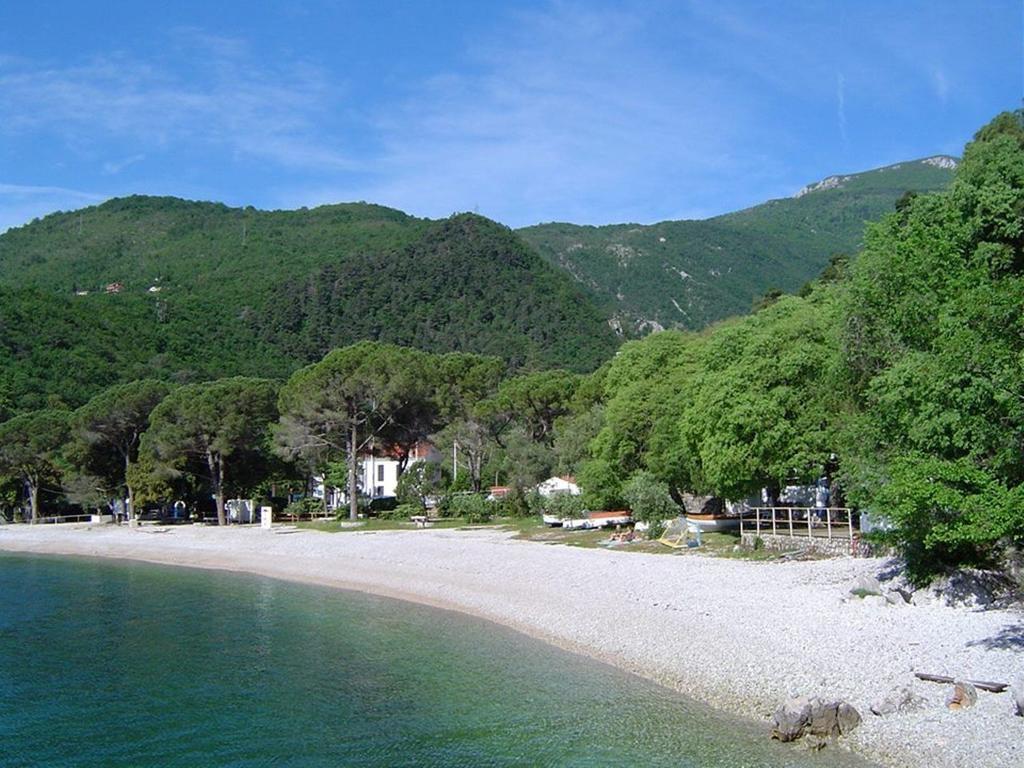 Apartment Zorka Medveja Kültér fotó